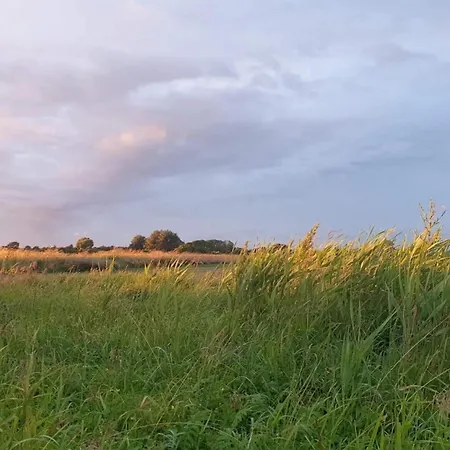 8 Person In Sydals Nedre Lysabild