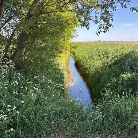 Semesterbostad 8 Person In Sydals Nedre Lysabild