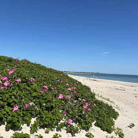 8 Person In Sydals Semesterbostad Nedre Lysabild