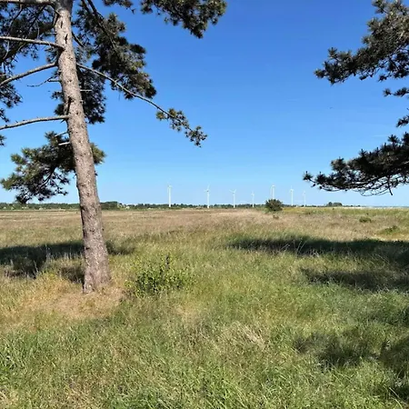 8 Person In Sydals Nedre Lysabild